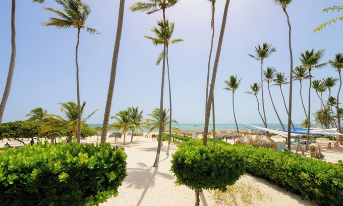 Bavaro Apartment | Just few steps from Beach, Enjoy a Sunrise in this Wonderful place