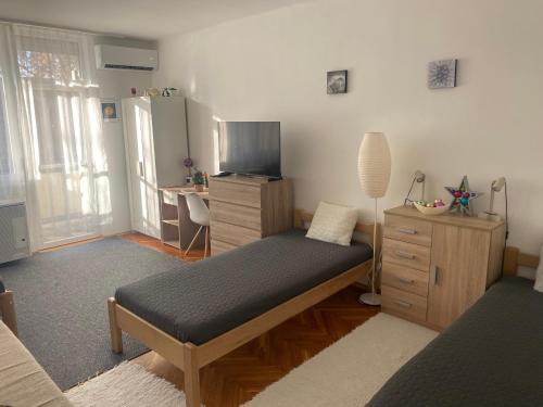 Kiskunfelegyhaza Apartment | Központi apartman