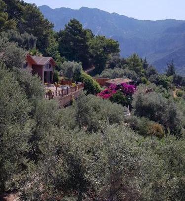 Kabak Valley Bed & Breakfast | Kabak Armes Otel