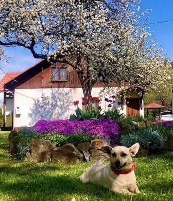 Baligrod House | Kaczmarówka