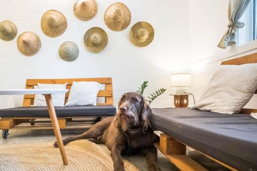 Morong Apartment | KAHILOM Nest Self-Service Home in Rainforest Nest with Kitchen - Monkeys, Bats, Pet Friendly with a Fee