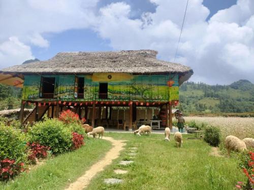 Bac Ha Cabin | Kale Farm Bắc Hà