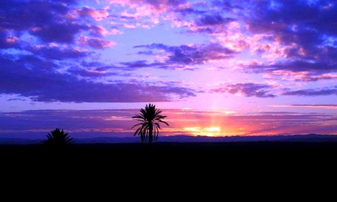 Skoura House | Kasbah Les Nomades