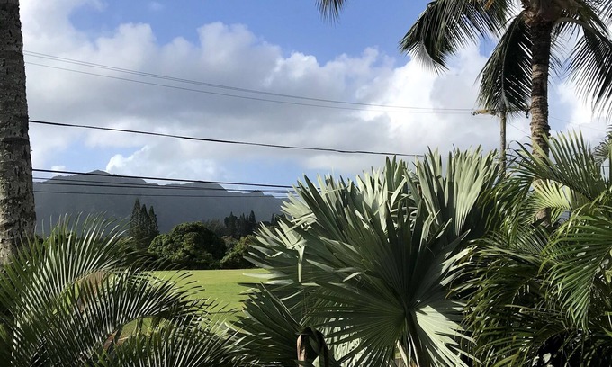 Lihue Hotel | Kaua'i Palms Hotel