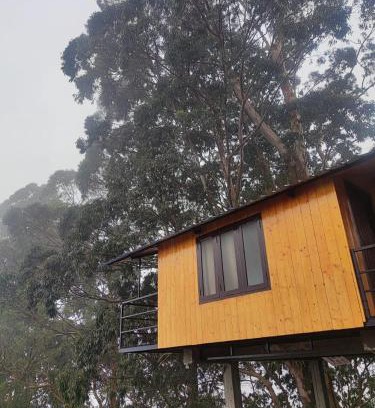 Vattakanal Apartment | Kelvin Eva wood house