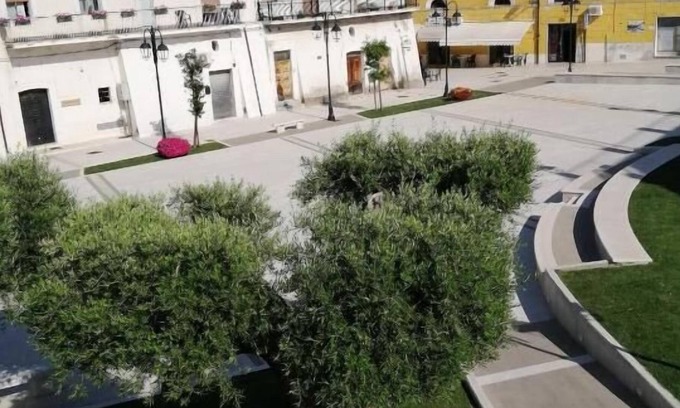 Campomarino Apartment | Kemarin Rooms