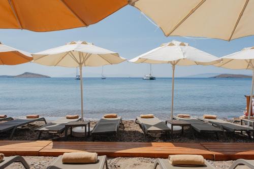 Ortakent Hotel | KHAI HOTEL BODRUM