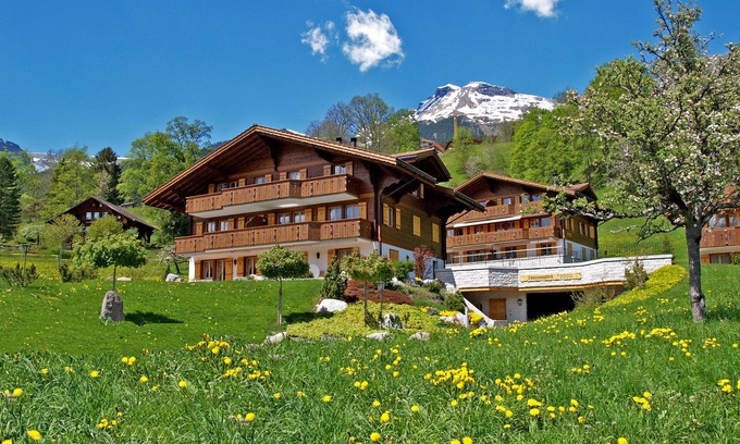 Grindelwald Apartment | Kids-friendly ground-floor apartment on the sunny side of Grindelwald
