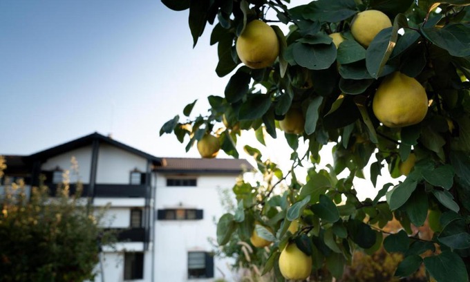 Cocorastii Mislii Villa | KIM`s Manor
