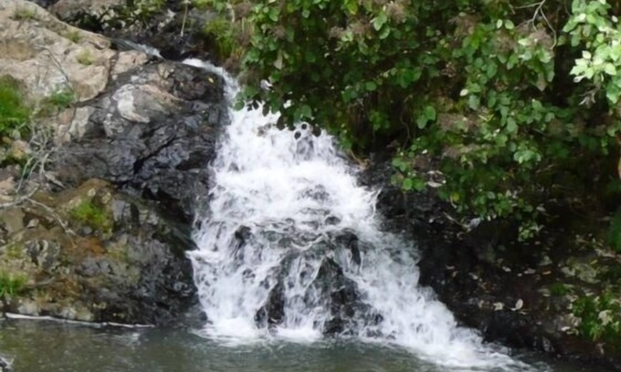 Ngaruawahia Other | Kings Ridge Cottage. Peaceful and Relaxing