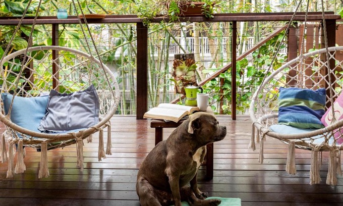 Agnes Water House | Kitesurf 1770 Beach House Stay and Investment Opportunity