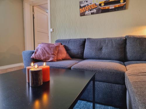 Hamar Municipality Apartment | Kjellerleilighet egen inngang.