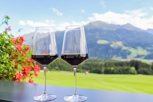 Schonbach Apartment | Klausenstein Gutshof Hollersbach