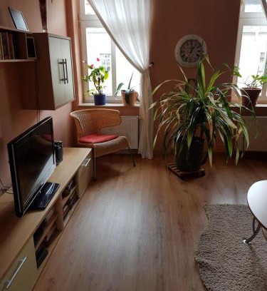 Dresden Apartment | Kleine gemütliche Ferienwohnung