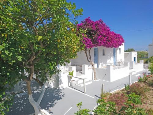 Logaras Apartment | Klironomos Apartments Logaras