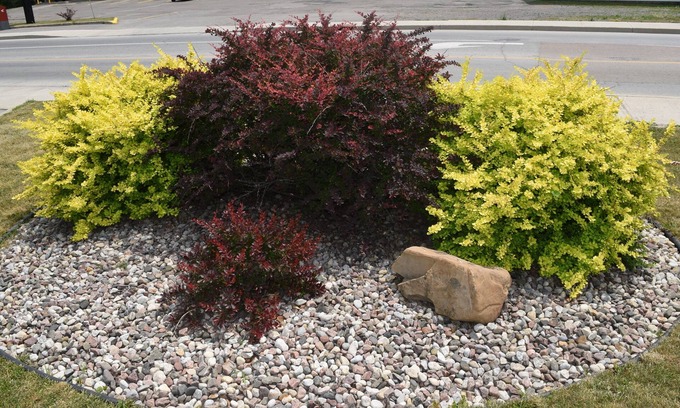 Arnprior Hotel | Knights Inn Arnprior