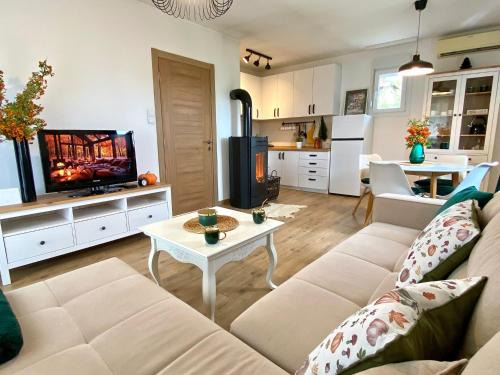 Mladenovac House | Košutica Vila