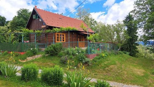 Konjscina House | Kokotova hiža