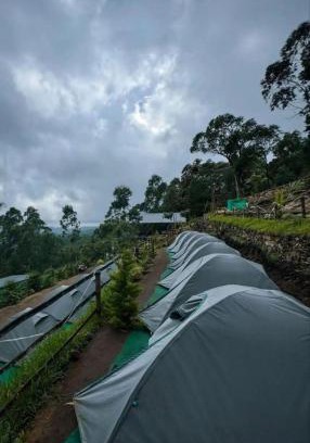 Suryanelli Other | Kolukkumalai camp bookings