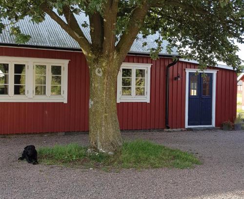 Langas House | Komleryd