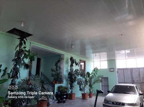 Ganja House | Konaklama Evi