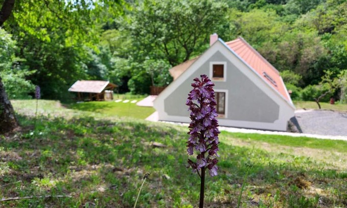 Monoszlo Apartment | Kosbor Vendégház
