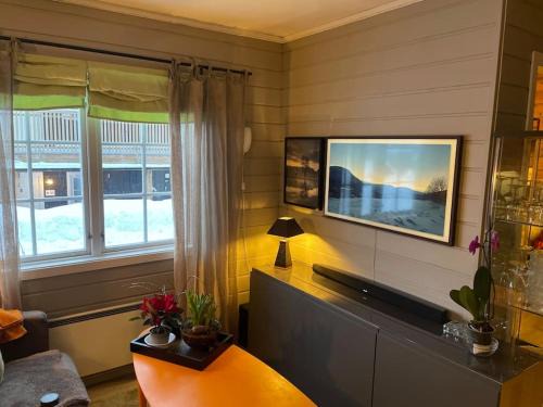 Oppdal Apartment | Koselig leilighet , med parkering og ski in &out.