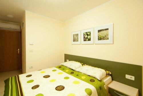 Nova Gorica Bed & Breakfast | Kraljič - Primož Čotar