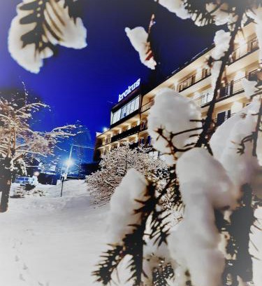Wisla Hotel | Krokus