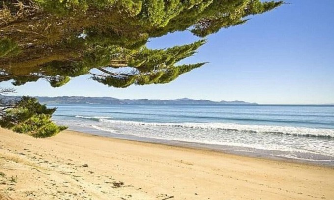 Kuaotunu House | Kuaotunu Beachfront - the beach at your door