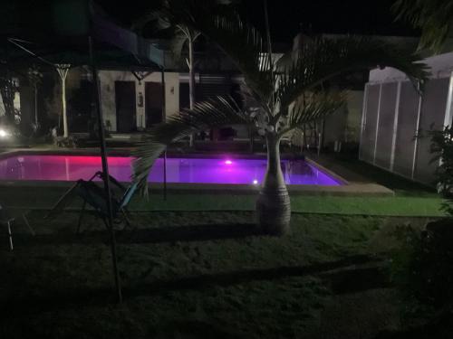 Dauis Apartment | Kubo A M&K's Guesthouse