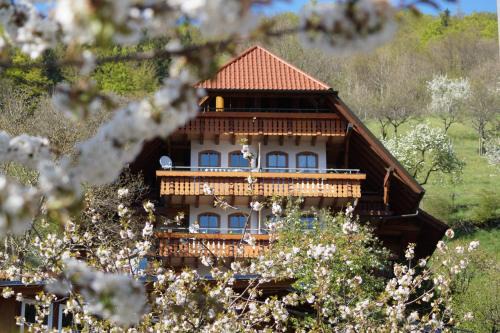 Bad Peterstal-Griesbach Hotel | Kurparkhotel Faißt