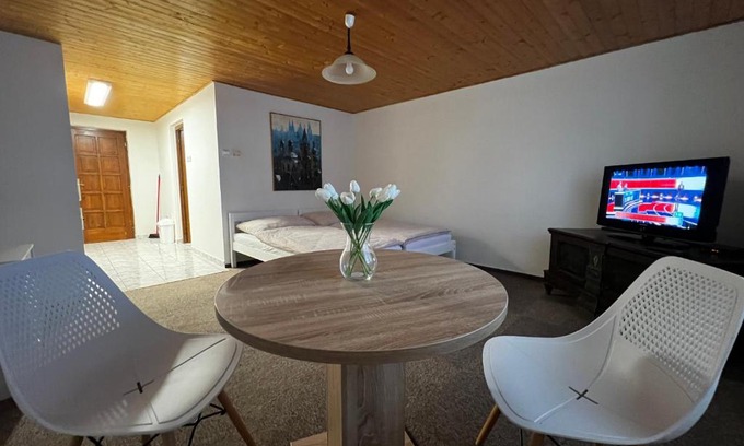 Litomerice Apartment | Květinová