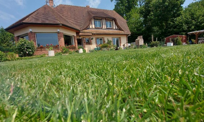 Motteville House | l'écureuil roux