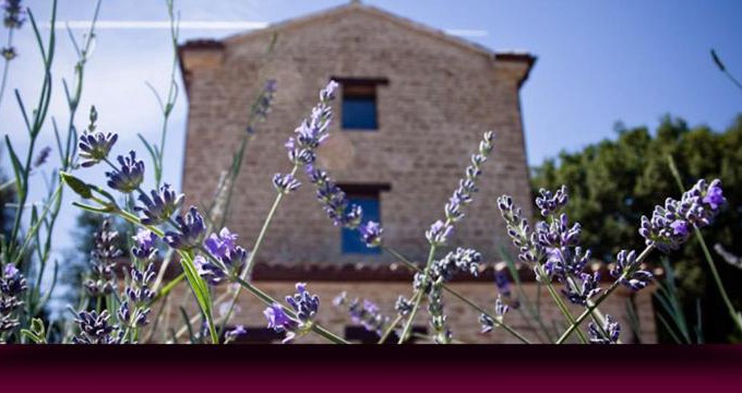 Serra San Quirico House | L'Alboreto Salvatico Homestay