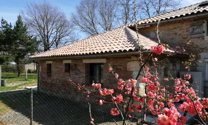 Le Pin House | L' Amandier