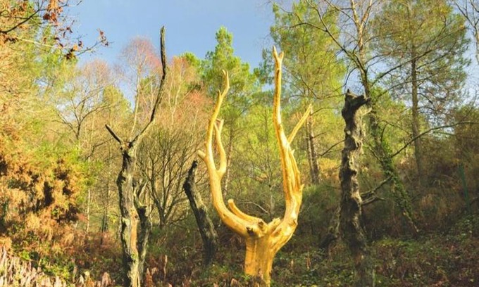 Taupont House | L'arbre dort studio indépendant