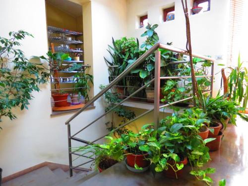Enna House | L'Arca di Noè