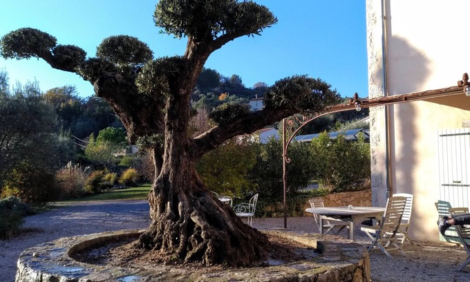 Tourrettes Bed & Breakfast | L'escale Provencale