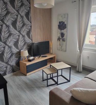 Sarrebourg Apartment | L'Europ'appart : Gare, Center parcs, Parc St Croix