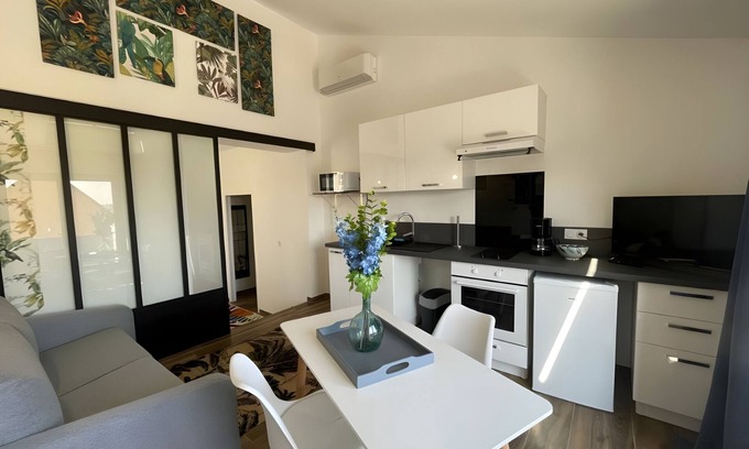 Le Mans Apartment | L'Exotique - Elégant - 4p - Rêve Au Mans