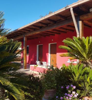 Ardea House | L'oasi di Ambra