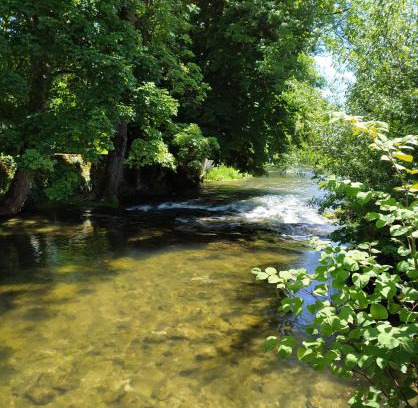 Is-sur-Tille Bed & Breakfast | L'orée des 3 Rivières