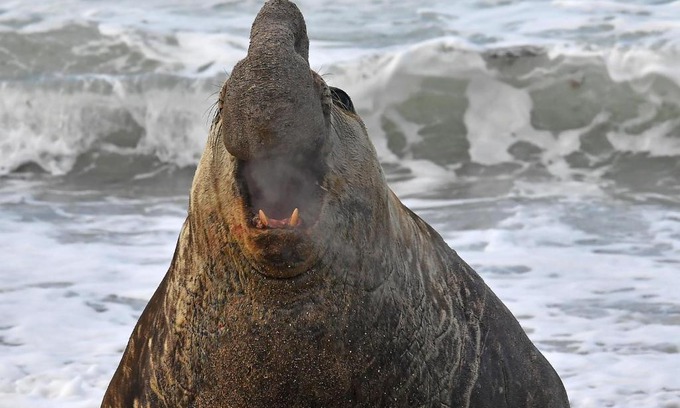 Dos Pozos House | La Antonieta Estancia de Mar