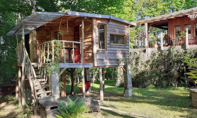 Couze-et-Saint-Front Bed & Breakfast | La cabane de l'oiseau