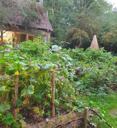 Choussy House | La Cabane