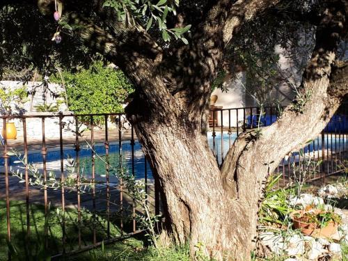 Calvisson Apartment | La Cartagène - charmant appartement entouré de nature