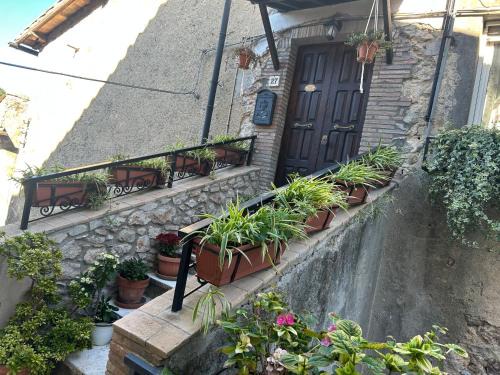 Tolfa Apartment | La Casa Dei Fiori