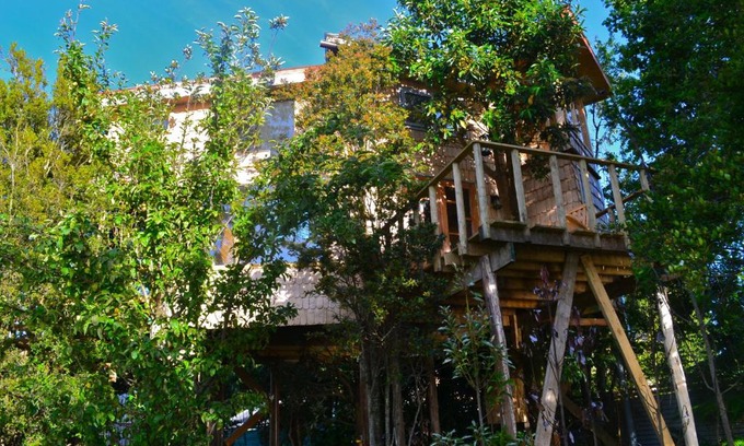 Nercon House | La Casa Del Árbol De Chiloé