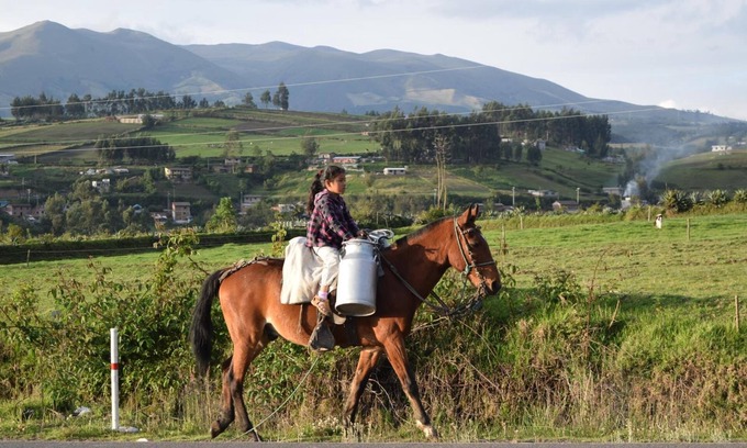 San Antonio de Pichincha House | La Casa de Campo